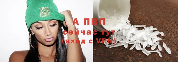 амф Гатчина