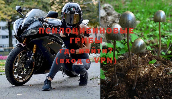 ALPHA-PVP Алексин