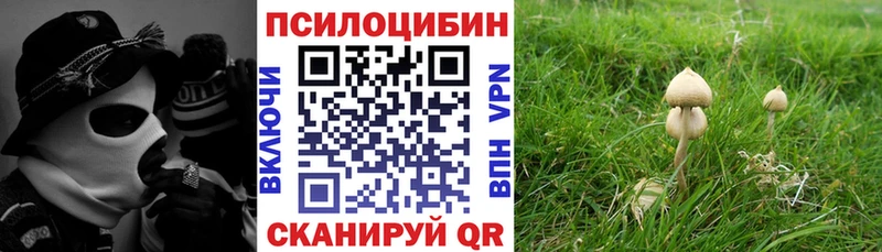 как найти наркотики  Карабулак  Галлюциногенные грибы Cubensis 