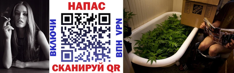 хочу   Карабулак  Марихуана OG Kush 